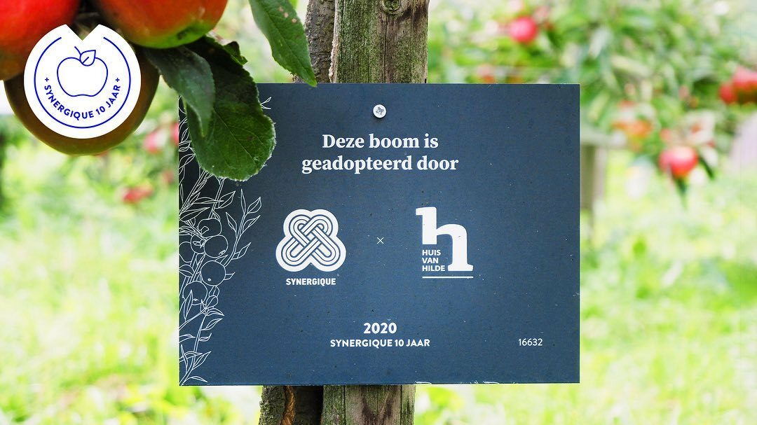 Image for In 2015 opende het archeologische depot + museum van de provincie Noord-Holland: @huis_van_hilde. Wij zijn via het Noord-Hollands Archief gevraagd om de eerste wisseltentoonstelling aldaar vorm te geven. wAARDEvol is een tentoonstelling over aardkundige