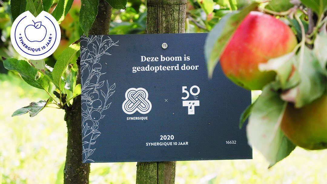 Image for Naast musea en archieven hebben we ook andere culturele instellingen die we een warm hart toedragen *kuch* juist nu *kuch*. De foyer en het café van @toneelschuur_filmschuur in Haarlem vormen een iconische ruimte, ontworpen door striptekenaar Joost