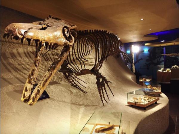 Image for Rondje Limburgse musea. We beginnen bij Natuurhistorisch Museum